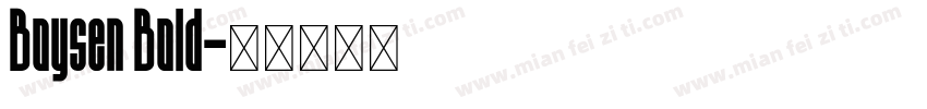 Boysen Bold字体转换